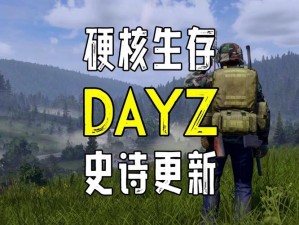 DayZ游戏中生病解决方法详解：生存模式下的健康挑战与应对策略