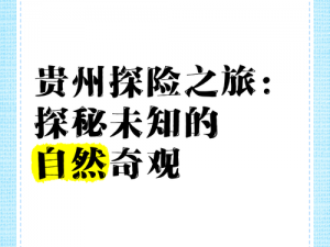 探秘未知：请带我飞向远方，追寻梦想的冒险之旅简介