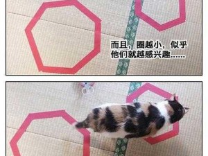 神经猫攻略大全：图文详解助你轻松掌握游戏精髓