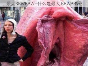 最大BBWBBW—什么是最大 BBWBBW？