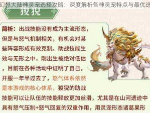 三国志幻想大陆神灵宠选择攻略：深度解析各神灵宠特点与最优选择建议