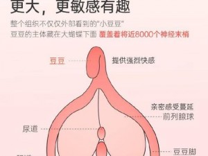 邻居叫我吸她奶 DH：一款让你享受极致吮吸体验的成人玩具