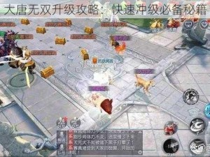 大唐无双升级攻略：快速冲级必备秘籍