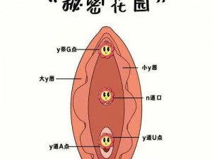 进入蜜源—如何进入蜜源？