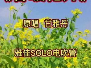 春暖花开老版入口-如何找到春暖花开老版入口？