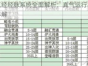 九阴真经经脉系统全面解析：真气运行与武技精髓详解