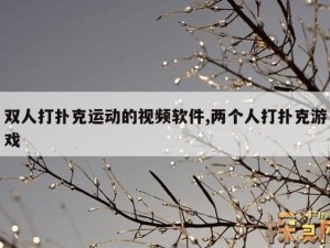 两人打扑克剧烈运动软件免费下载是一款主打两人互动的休闲娱乐软件，在这里可以尽享各种趣味游戏