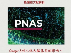 omega 教养所地下室改造的实验内容是怎样的？为何要进行这样的实验？有何风险和挑战？