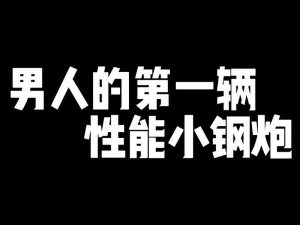 国产十八禁真成了，性能小钢炮你值得拥有