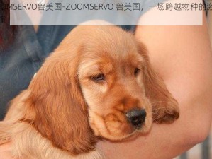 ZOOMSERVO兽美国-ZOOMSERVO 兽美国，一场跨越物种的激情碰撞