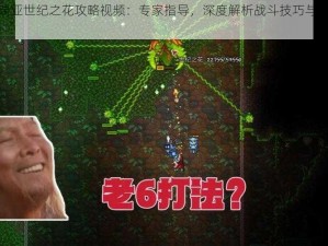 泰拉瑞亚世纪之花攻略视频：专家指导，深度解析战斗技巧与生存策略