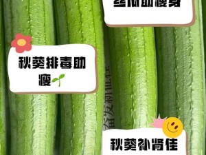 丝瓜草莓榴莲向日葵秋葵蕾丝_如何评价丝瓜草莓榴莲向日葵秋葵蕾丝？