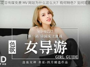 麻花豆传媒免费 MV 网站为什么这么火？有何特色？如何观看？