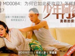 麻花传 MD0084：为何它如此受欢迎？怎样解决观看难题？