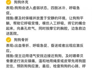 被困 6 小时一人一狗如何成功自救