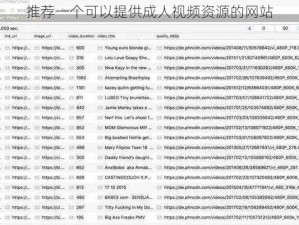 推荐一个可以提供成人视频资源的网站