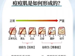 为什么我的色豆豆总是掉发？应该如何解决？