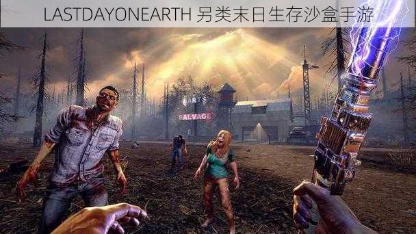 LASTDAYONEARTH 另类末日生存沙盒手游