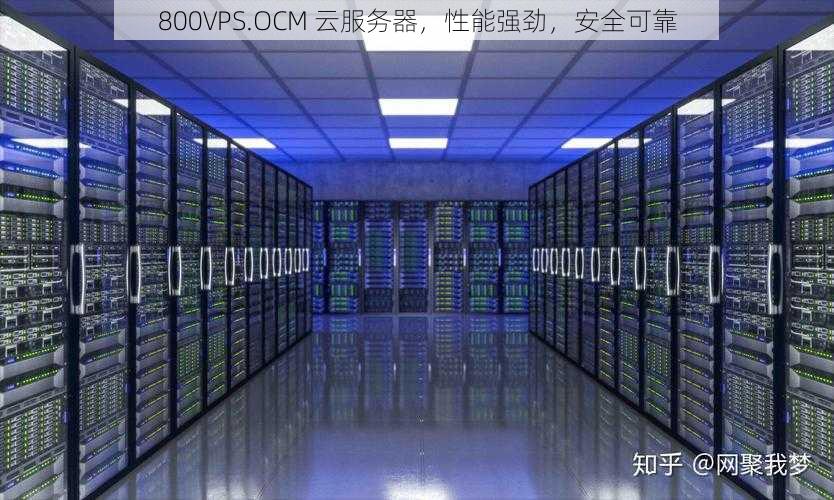 800VPS.OCM 云服务器，性能强劲，安全可靠