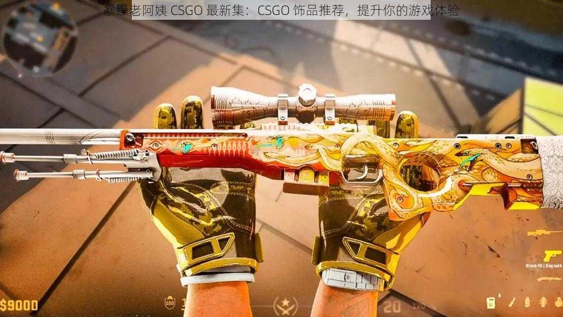 暴躁老阿姨 CSGO 最新集：CSGO 饰品推荐，提升你的游戏体验