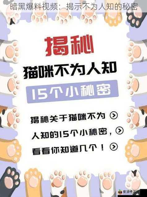 暗黑爆料视频：揭示不为人知的秘密