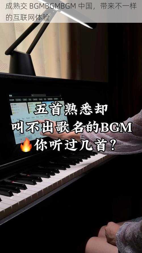 成熟交 BGMBGMBGM 中国，带来不一样的互联网体验