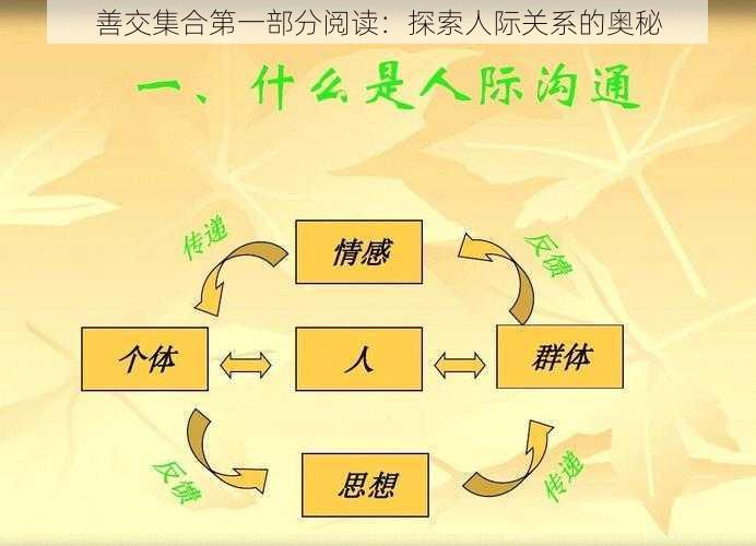 善交集合第一部分阅读：探索人际关系的奥秘