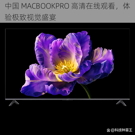 中国 MACBOOKPRO 高清在线观看，体验极致视觉盛宴