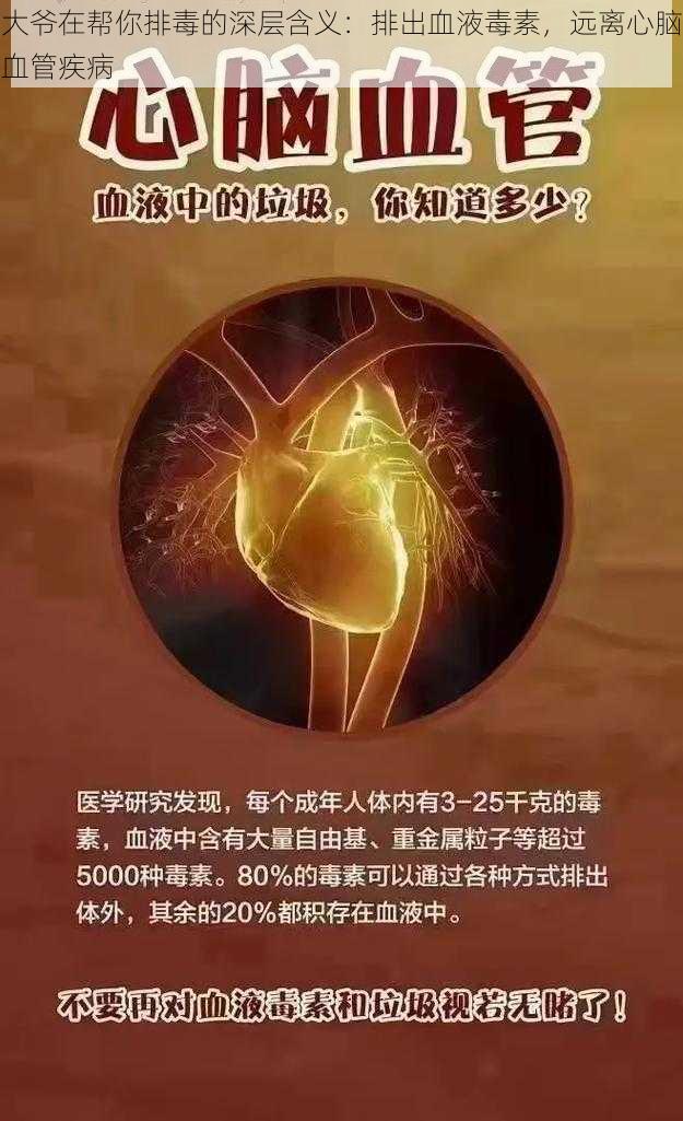 大爷在帮你排毒的深层含义：排出血液毒素，远离心脑血管疾病