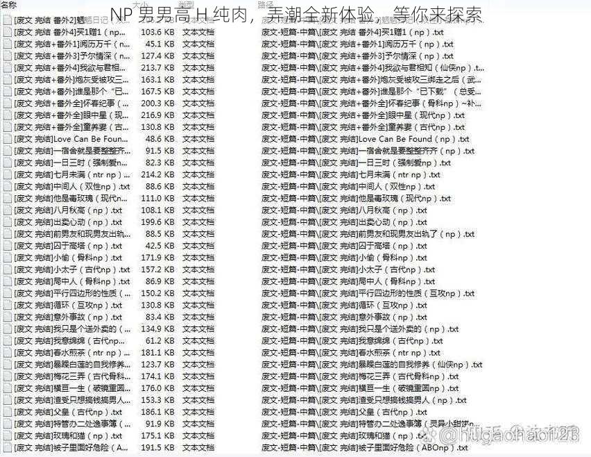 NP 男男高 H 纯肉，弄潮全新体验，等你来探索