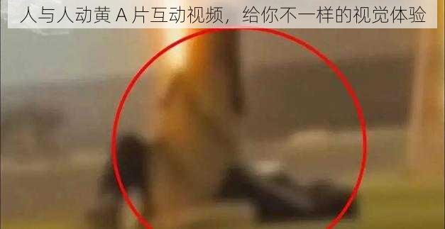 人与人动黄 A 片互动视频，给你不一样的视觉体验