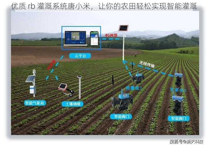 优质 rb 灌溉系统唐小米，让你的农田轻松实现智能灌溉