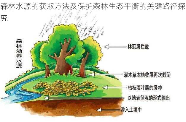 森林水源的获取方法及保护森林生态平衡的关键路径探究