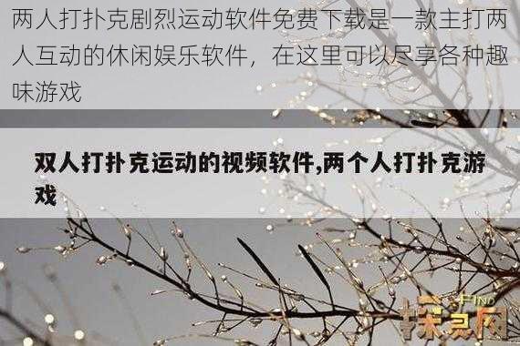 两人打扑克剧烈运动软件免费下载是一款主打两人互动的休闲娱乐软件，在这里可以尽享各种趣味游戏