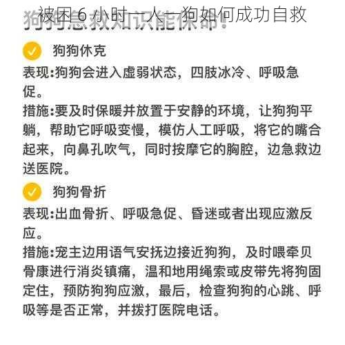 被困 6 小时一人一狗如何成功自救