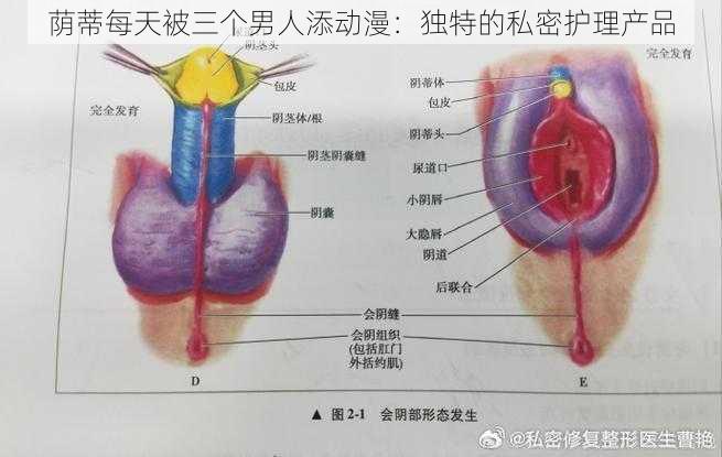 荫蒂每天被三个男人添动漫：独特的私密护理产品