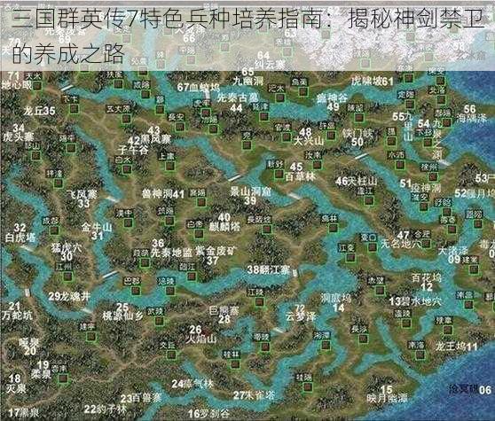 三国群英传7特色兵种培养指南：揭秘神剑禁卫的养成之路