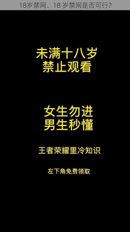 18岁禁网、18 岁禁网是否可行？