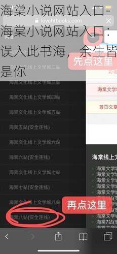 海棠小说网站入口-海棠小说网站入口：误入此书海，余生皆是你