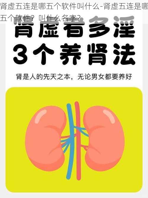 肾虚五连是哪五个软件叫什么-肾虚五连是哪五个软件？叫什么名字？