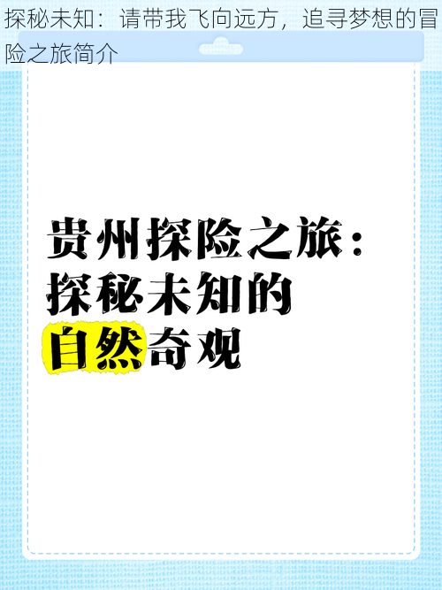 探秘未知：请带我飞向远方，追寻梦想的冒险之旅简介