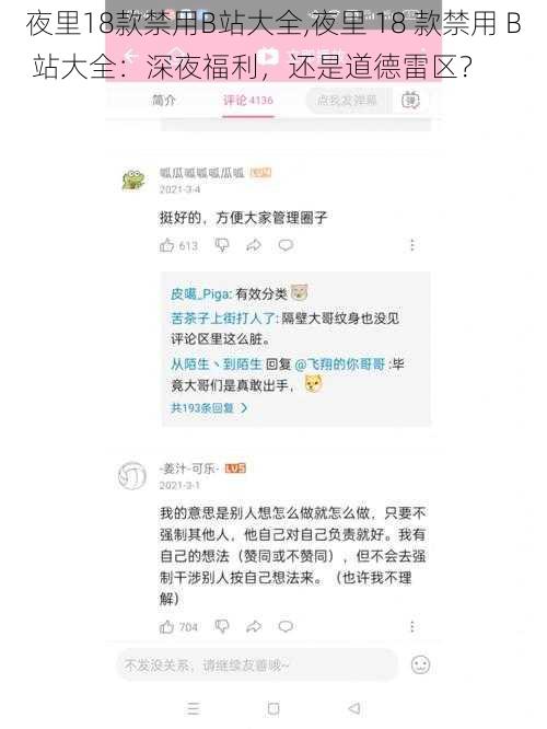 夜里18款禁用B站大全,夜里 18 款禁用 B 站大全：深夜福利，还是道德雷区？