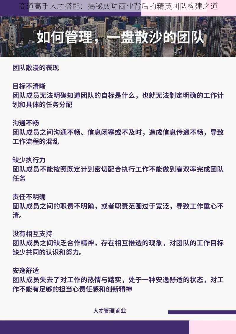 商道高手人才搭配：揭秘成功商业背后的精英团队构建之道