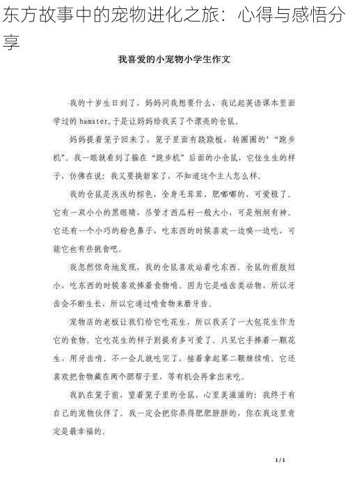 东方故事中的宠物进化之旅：心得与感悟分享