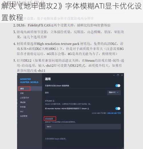 解决《地牢围攻2》字体模糊ATI显卡优化设置教程