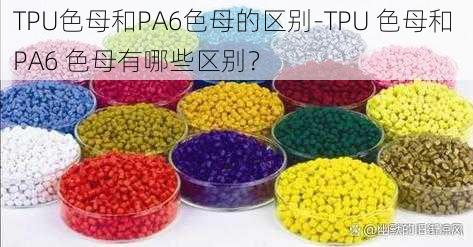 TPU色母和PA6色母的区别-TPU 色母和 PA6 色母有哪些区别？