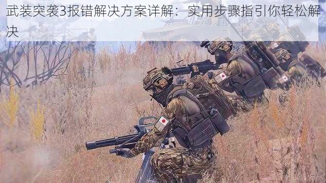 武装突袭3报错解决方案详解：实用步骤指引你轻松解决