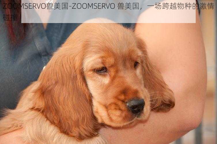 ZOOMSERVO兽美国-ZOOMSERVO 兽美国，一场跨越物种的激情碰撞