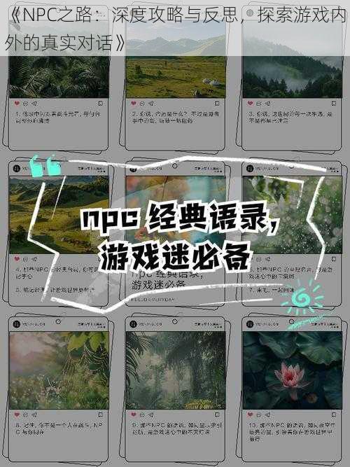 《NPC之路：深度攻略与反思，探索游戏内外的真实对话》