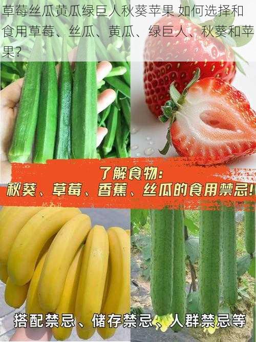 草莓丝瓜黄瓜绿巨人秋葵苹果 如何选择和食用草莓、丝瓜、黄瓜、绿巨人、秋葵和苹果？